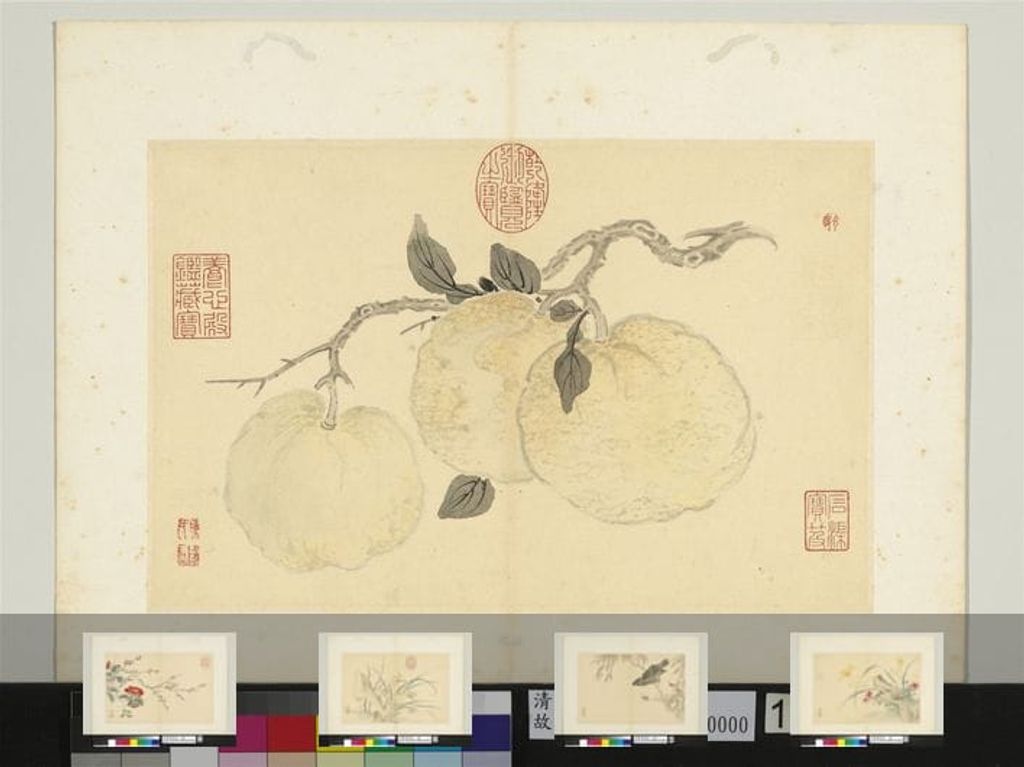 花卉册图缩略图