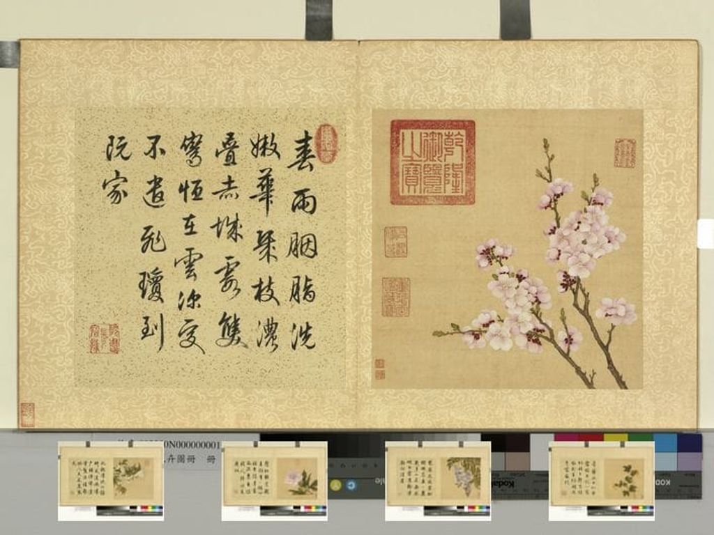 花卉图册十二帧预览图