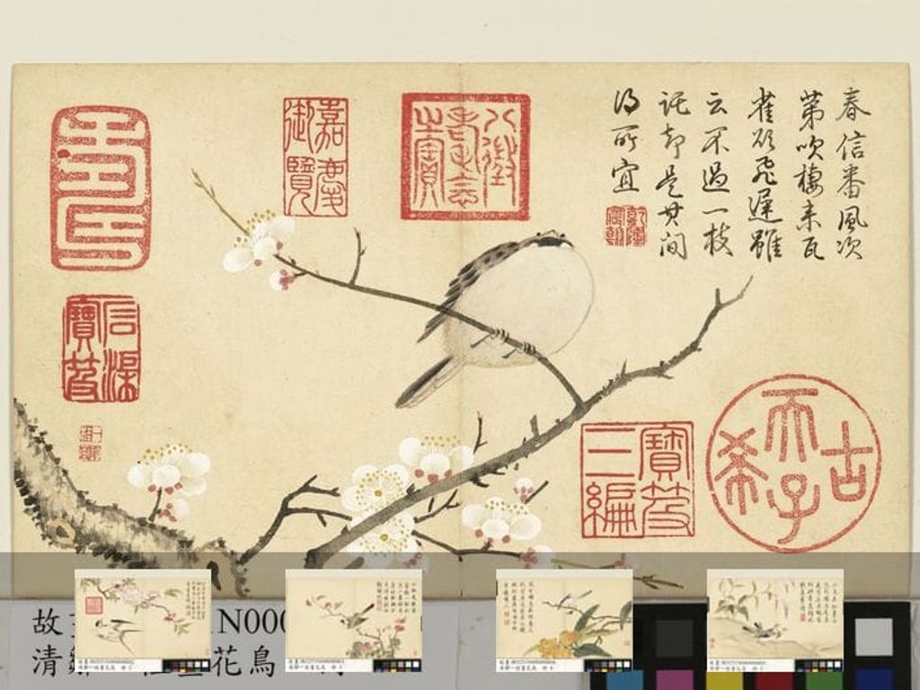 花鸟图册预览图