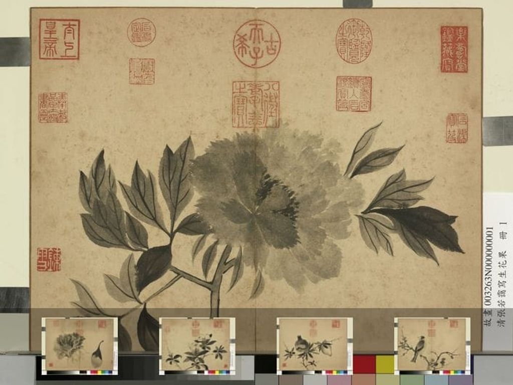 写生花果册缩略图