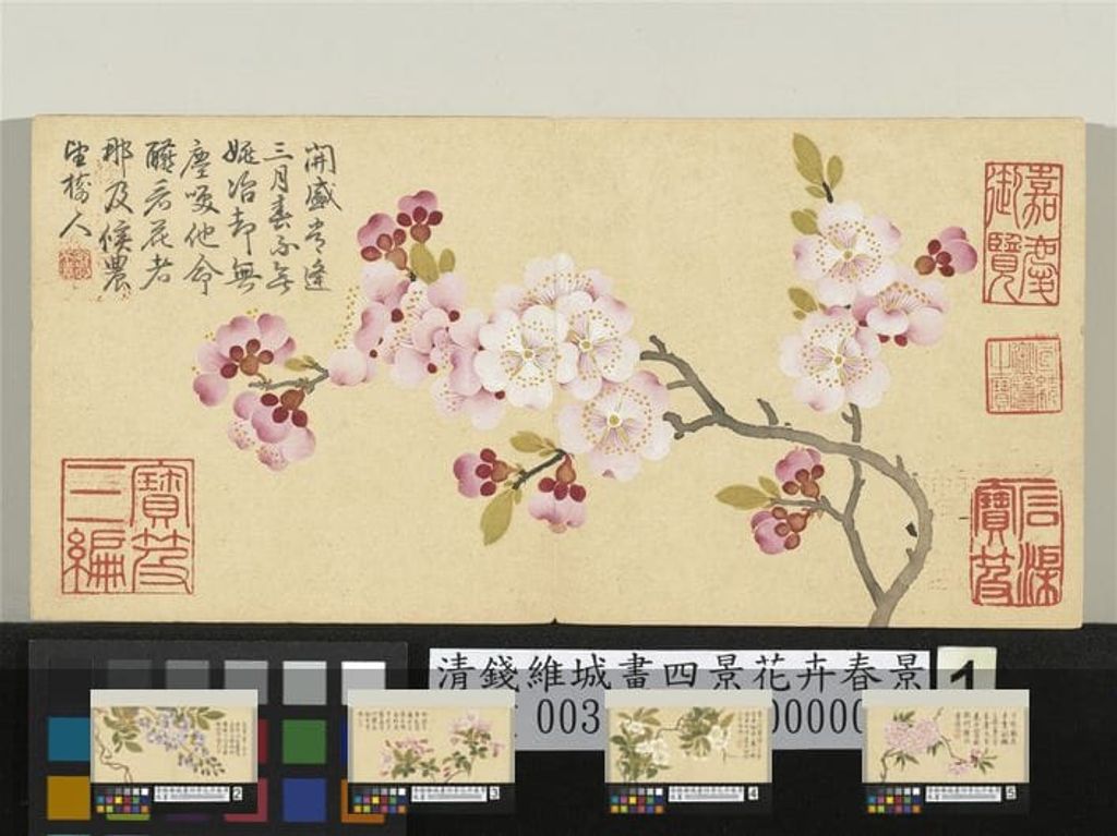 四景花卉春景预览图