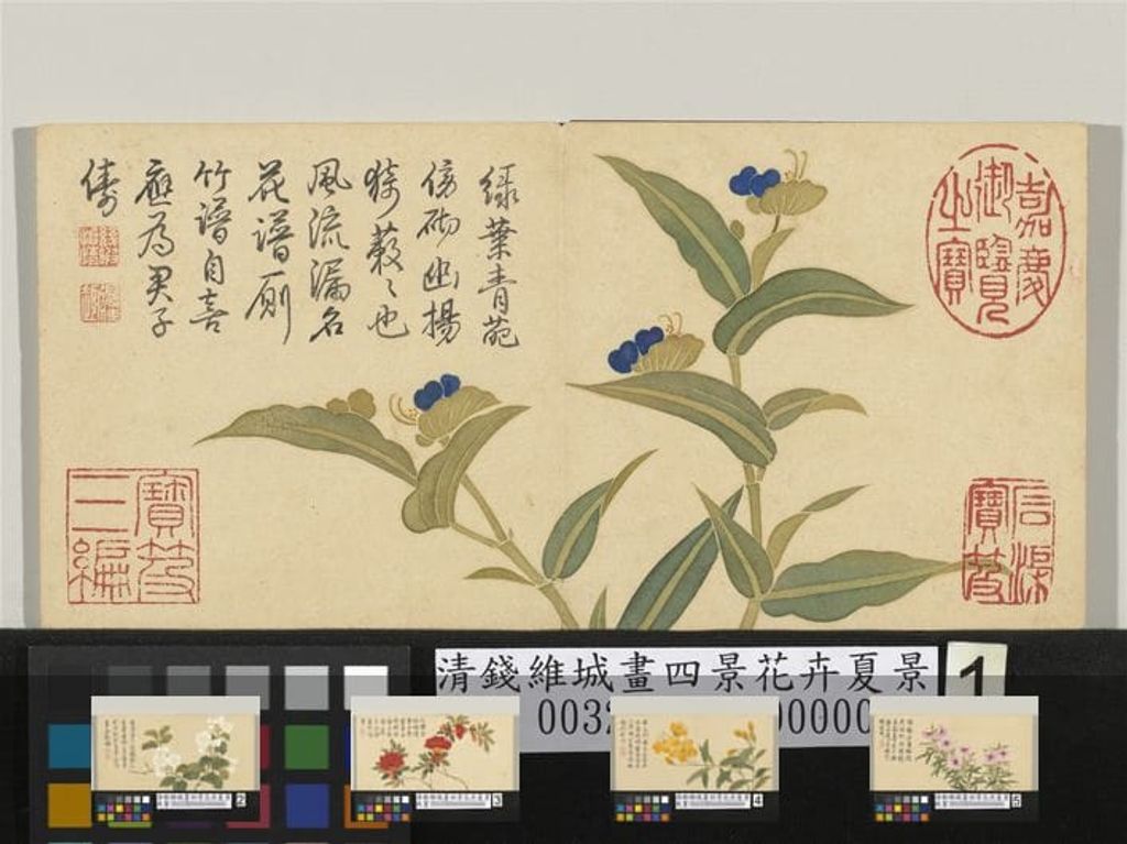 四景花卉夏景预览图