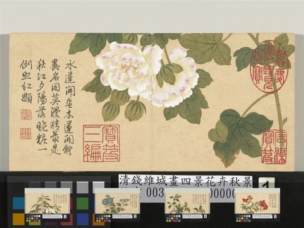 四景花卉秋景预览图