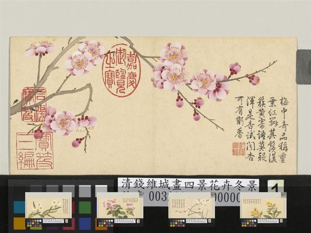 四景花卉冬景预览图