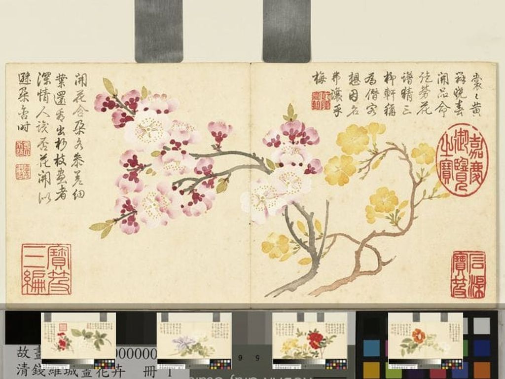 画花卉预览图