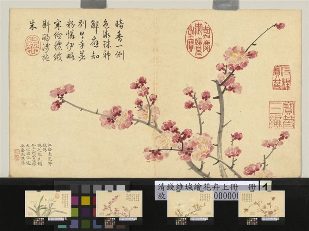 绘花卉（上）预览图