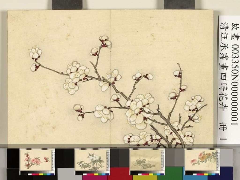 四时花卉册缩略图