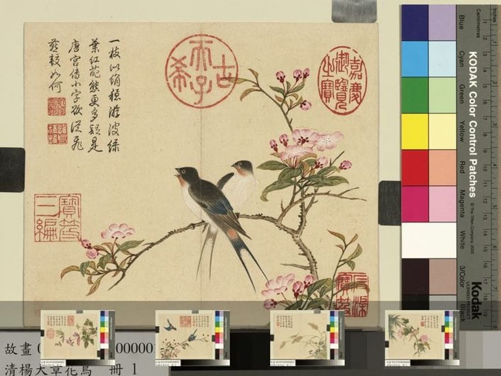 花鸟册图缩略图