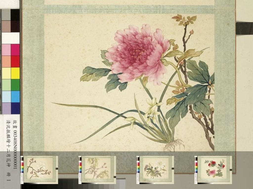 绘十二月花神册图缩略图