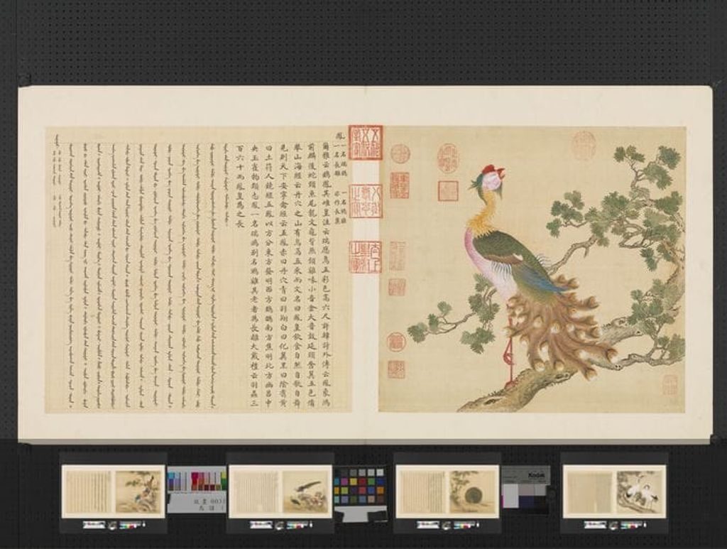 鸟谱（一）册预览图