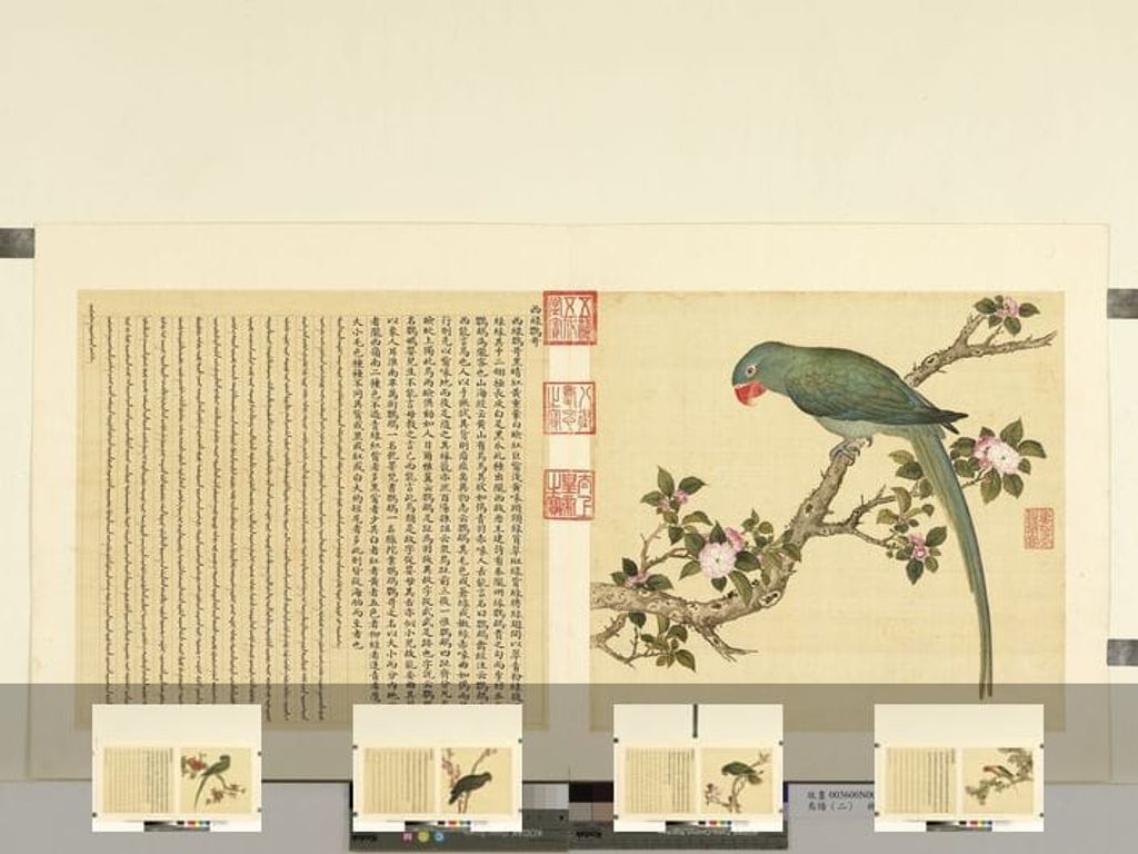 鸟谱（共十二册​​）缩略图