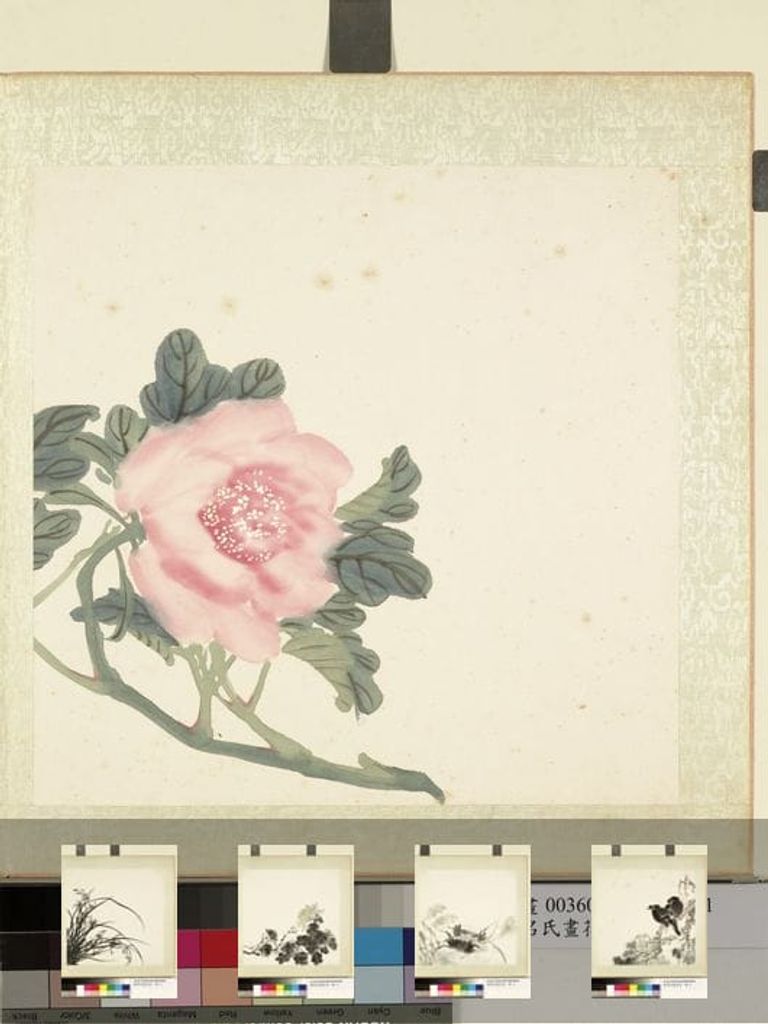 花鸟册图缩略图