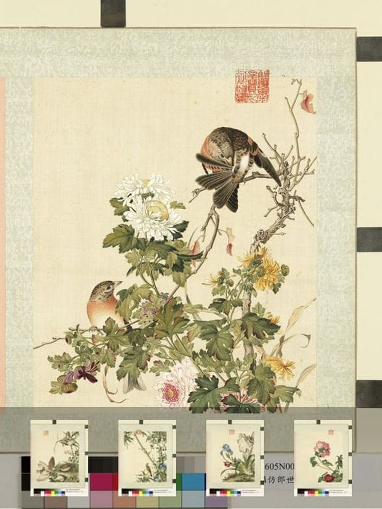 仿郎世宁花卉册图缩略图