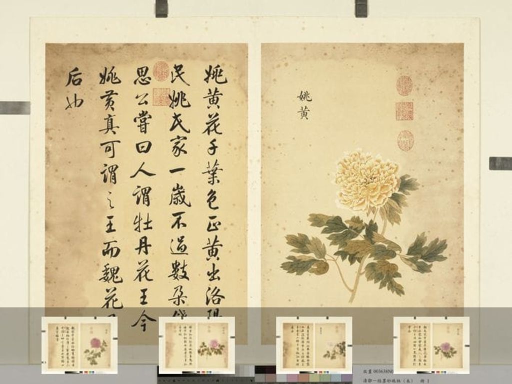 墨妙珠林册（未）预览图