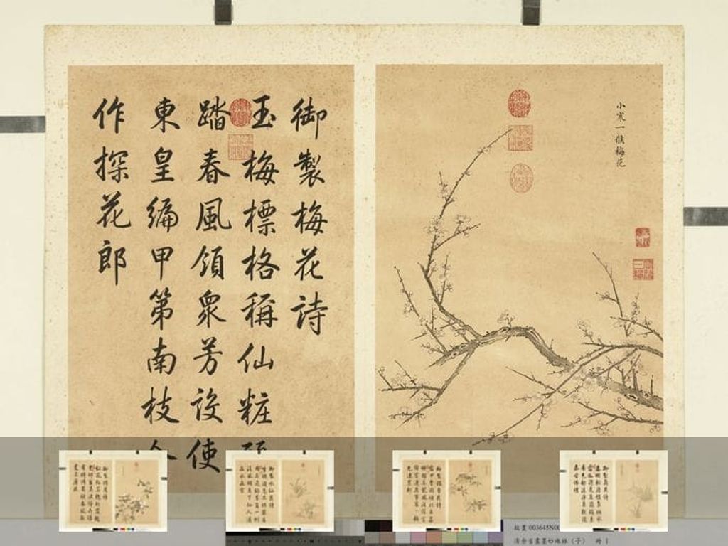 墨妙珠林册图（子）缩略图