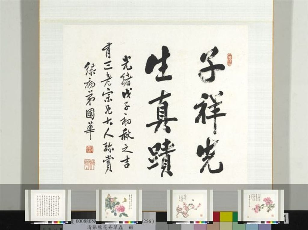 花卉草虫册缩略图