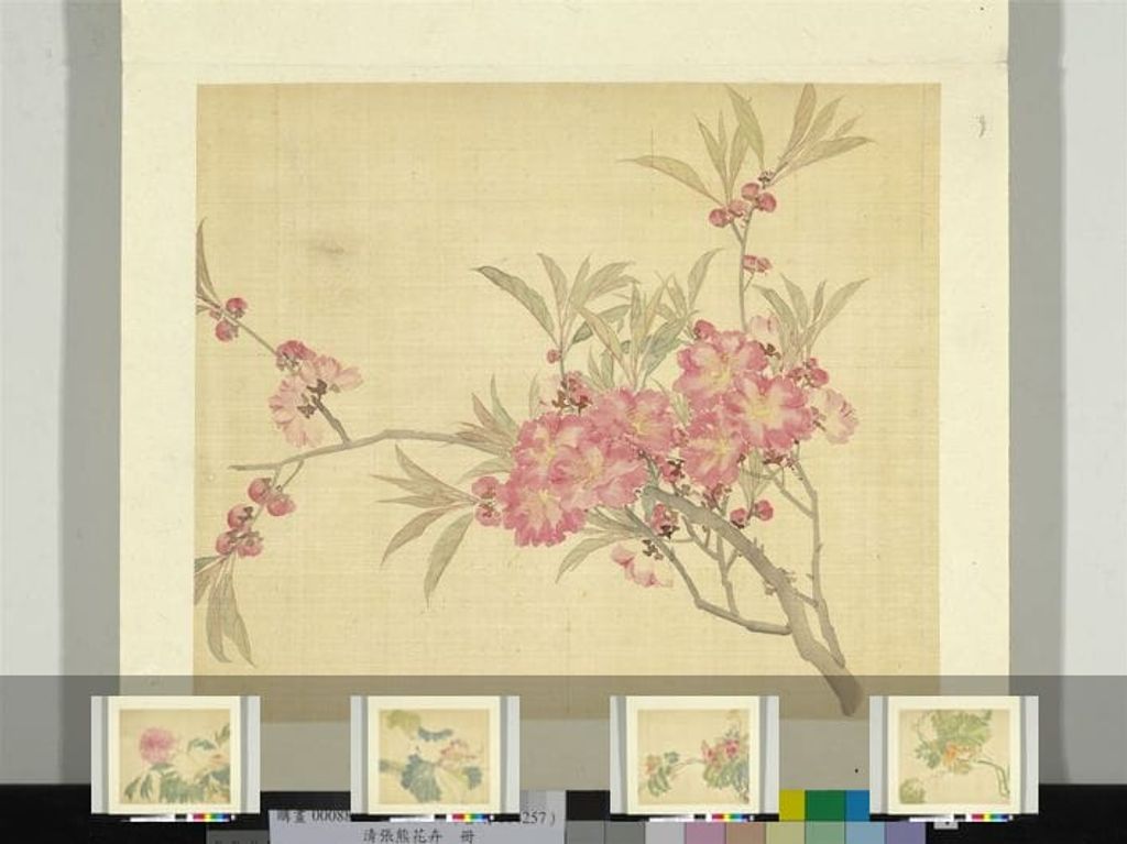 花卉册缩略图