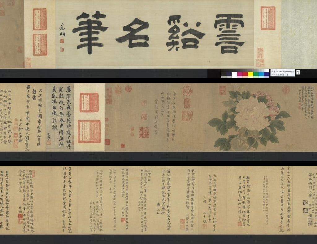 牡丹图预览图