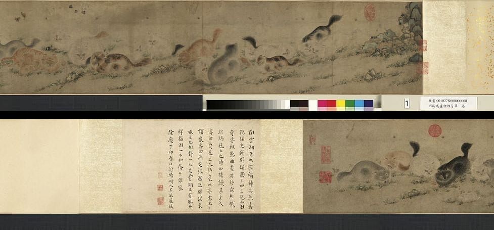 貍奴芳草图缩略图