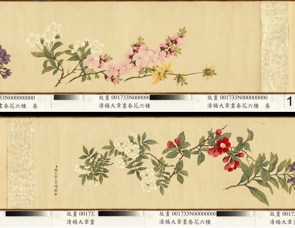 春花六种图缩略图