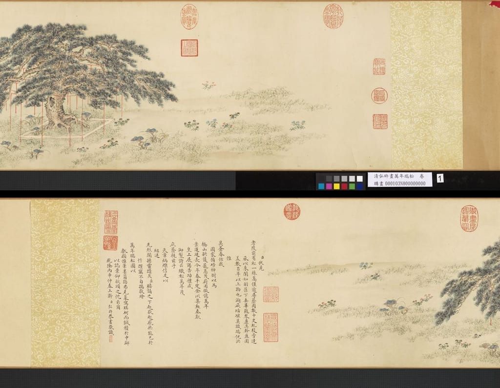 万年瑞松图缩略图