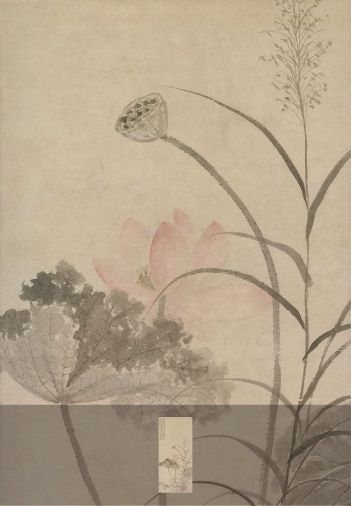 残荷芦草图预览图