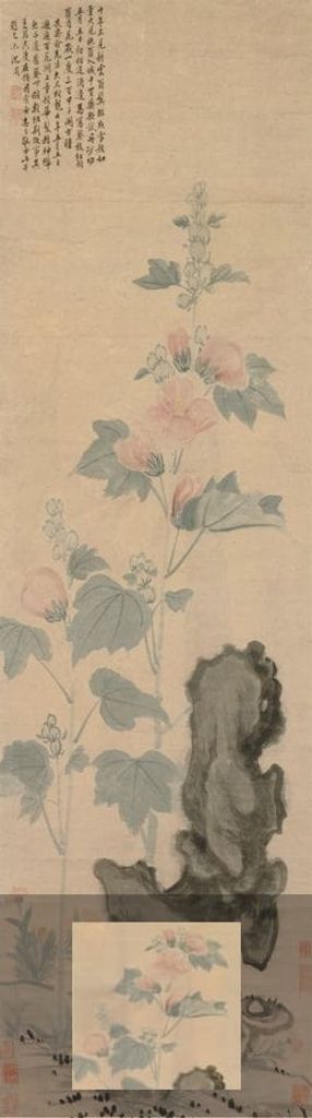 蜀葵图缩略图