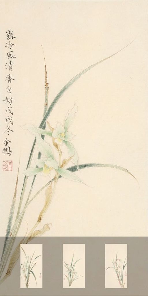 兰花缩略图
