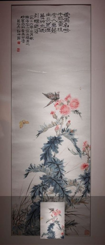 牛膝花预览图