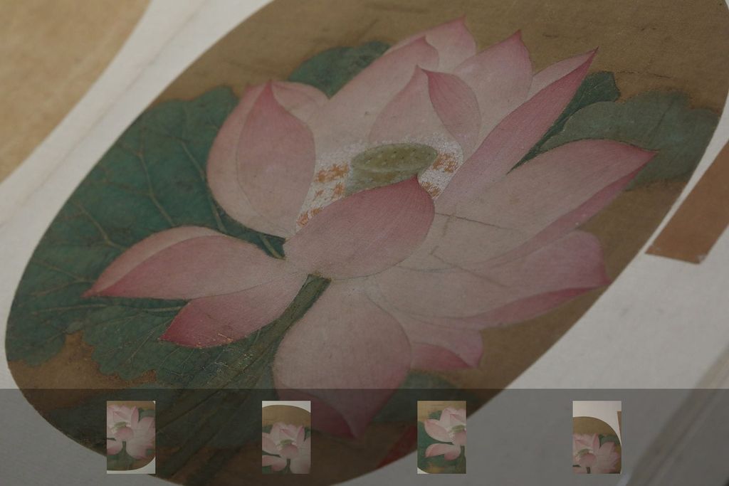 宋人出水芙蓉图页预览图