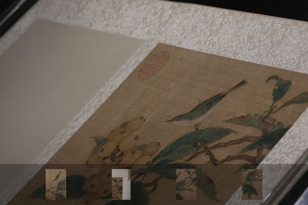 枇杷山鸟图页预览图