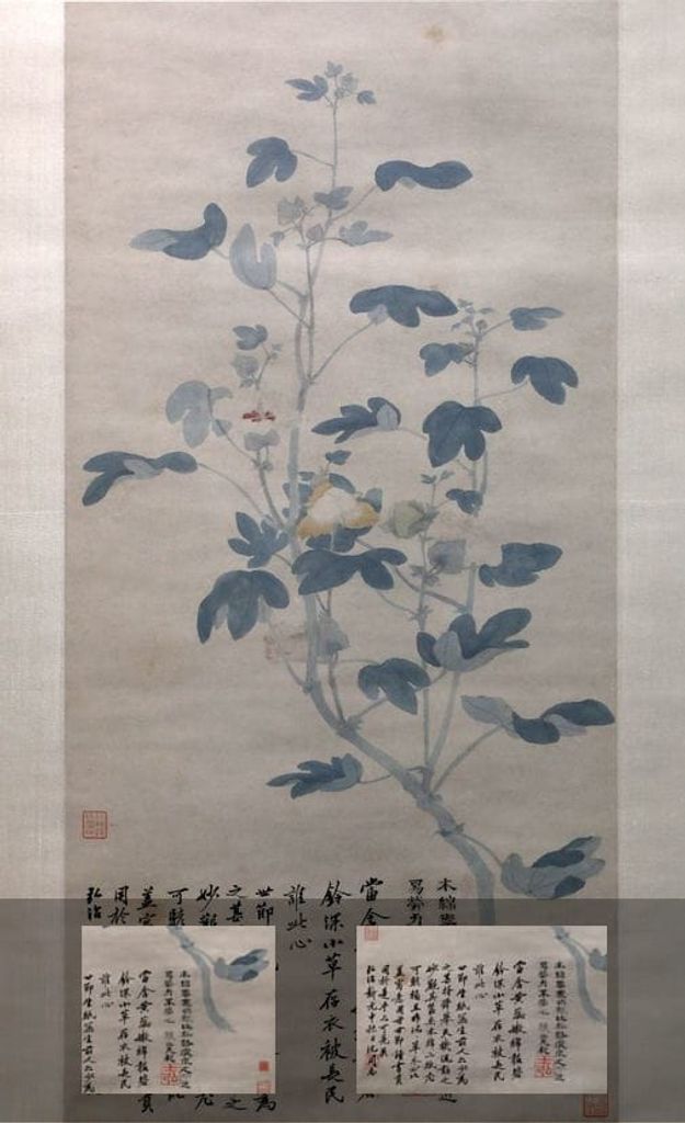 木棉图预览图