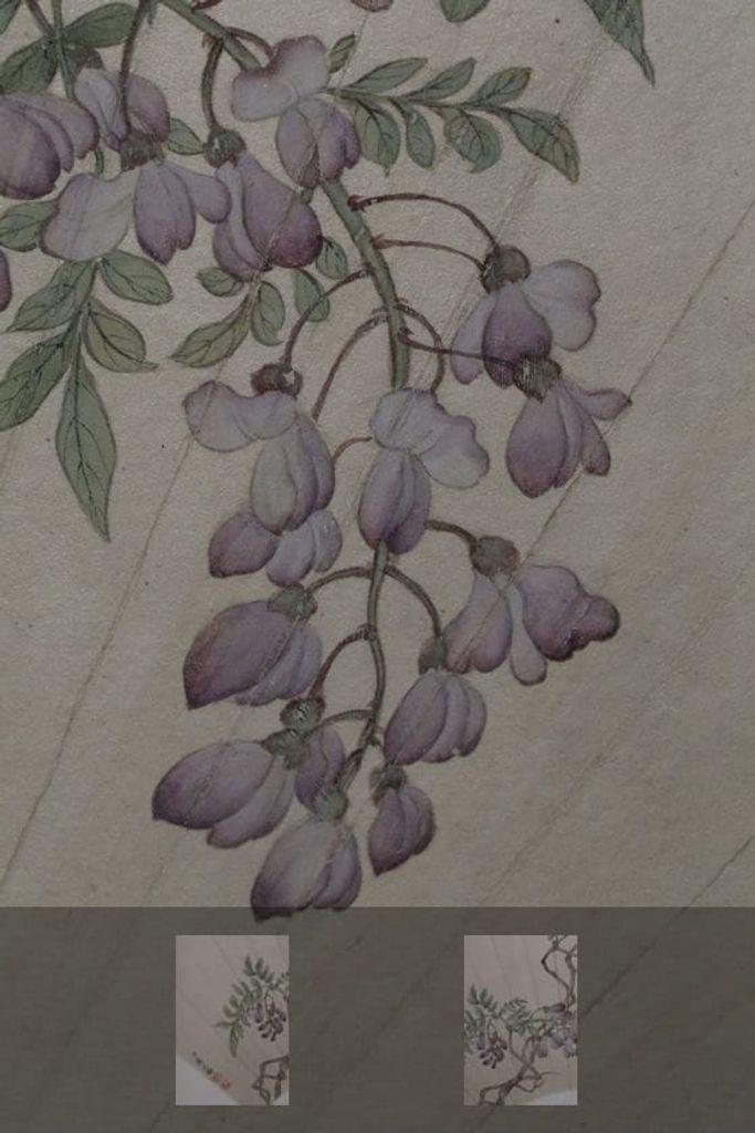 紫藤图扇页缩略图