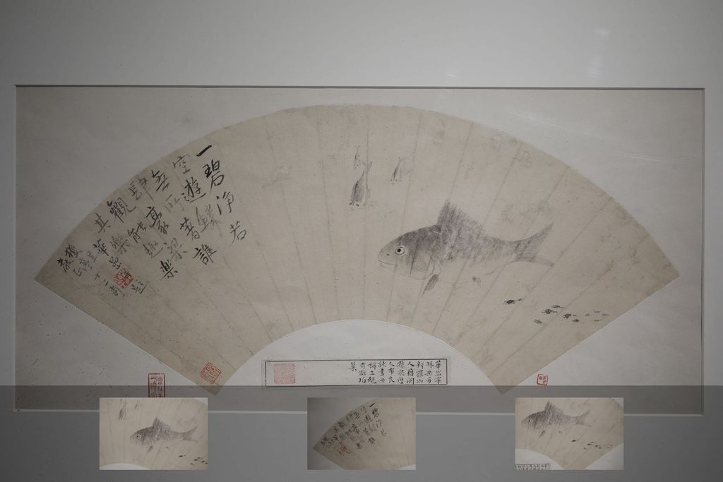 鱼预览图