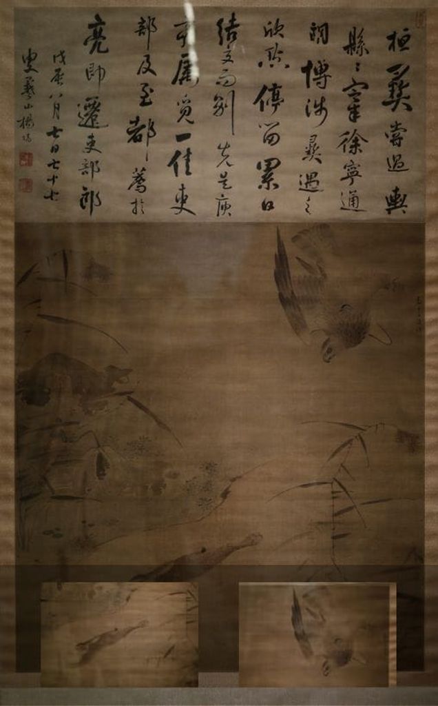 鹰图预览图