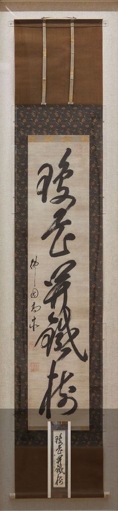琼花开铁树缩略图