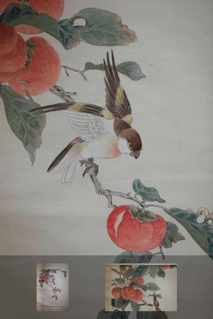 红柿小鸟预览图
