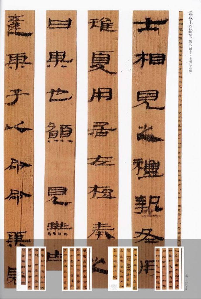 武威王莽新简仪礼预览图
