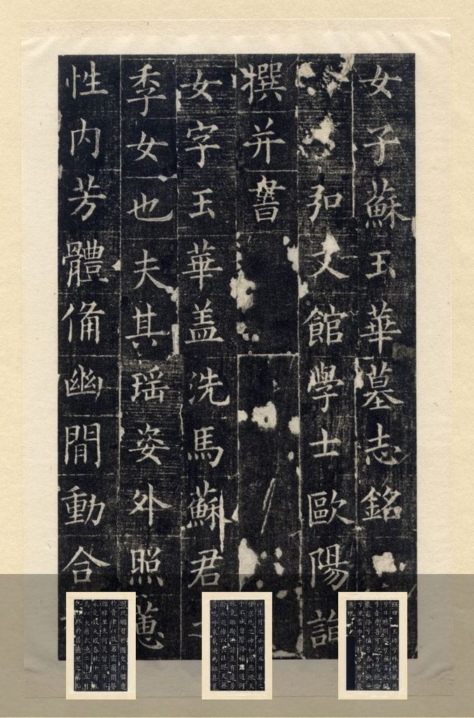 苏玉华墓志预览图