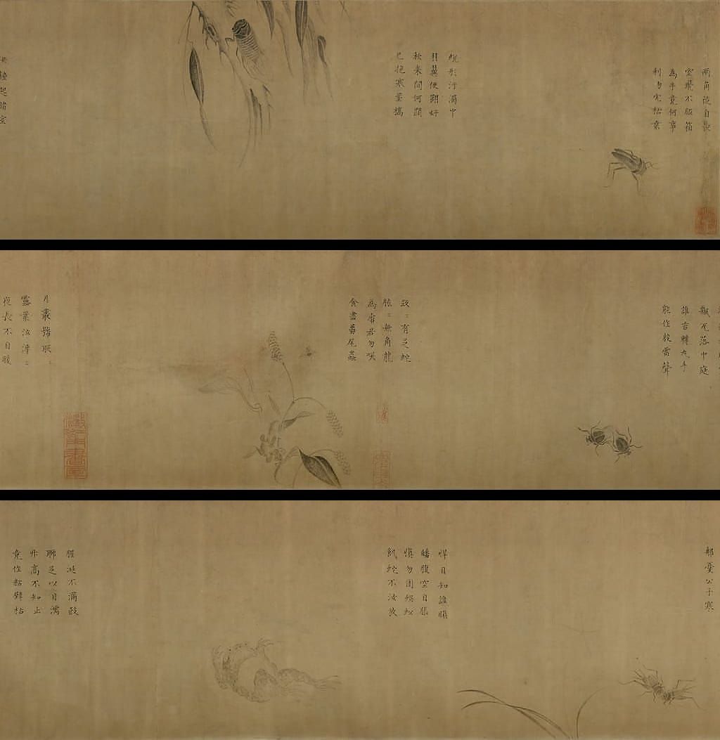 草虫卷预览图