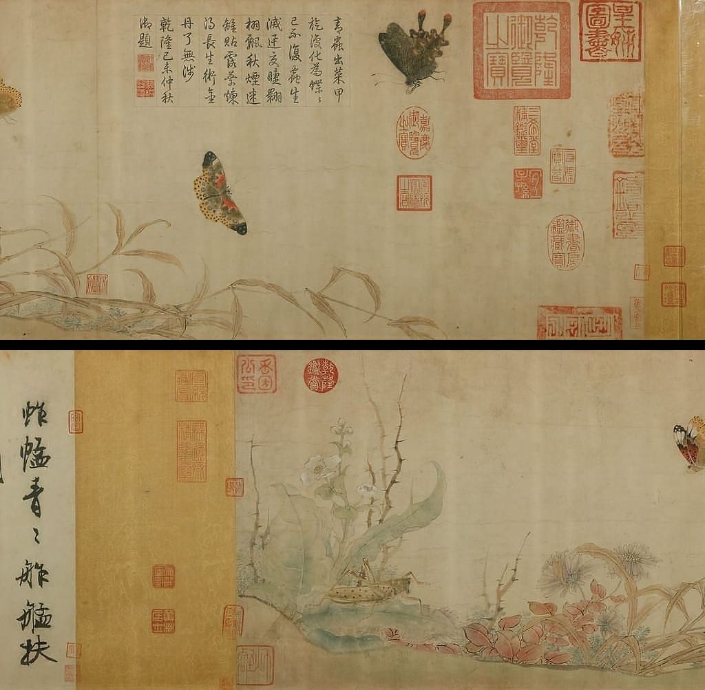 写生蛱蝶图预览图