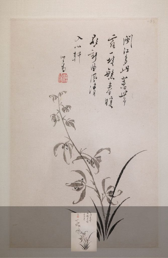 闽蕙清风缩略图