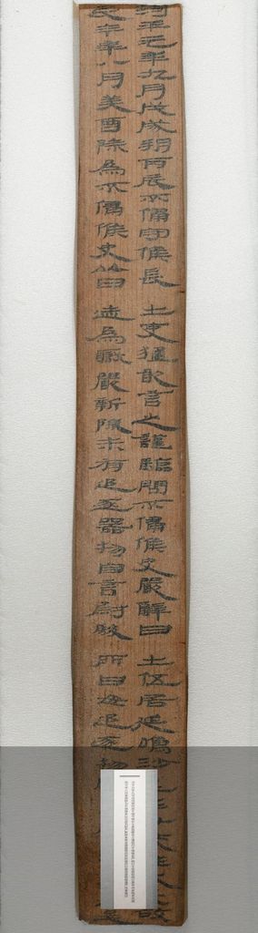 居延“河平元年”新简预览图