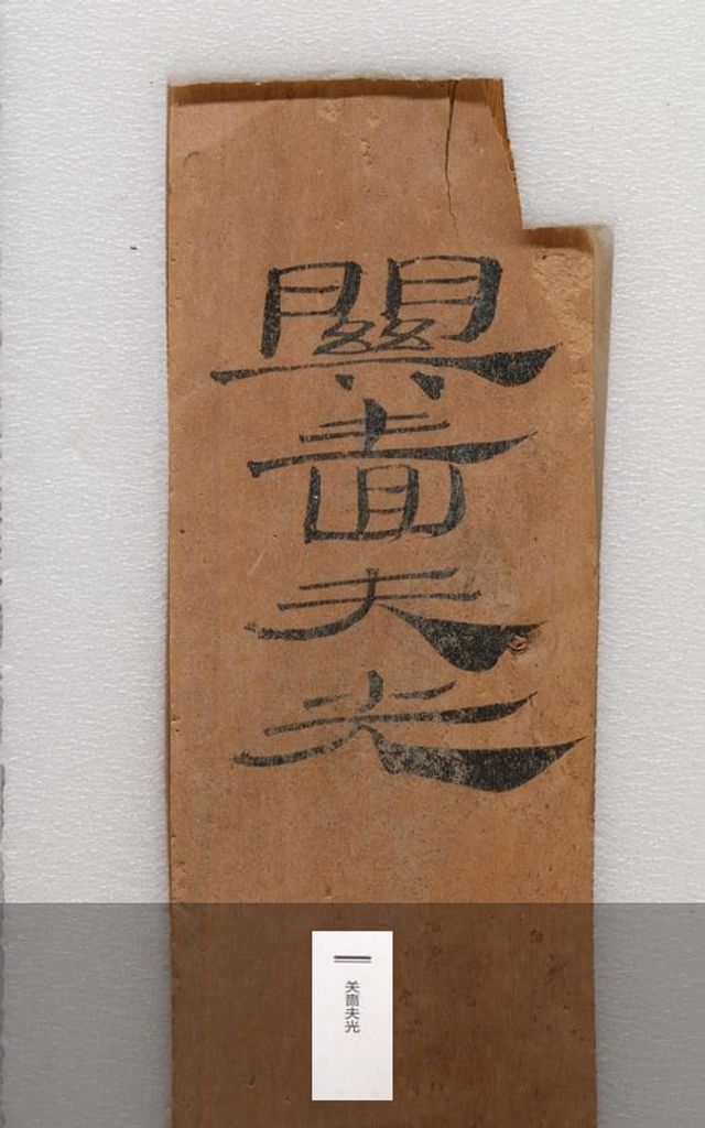 敦煌悬泉“关啬夫光”汉简预览图