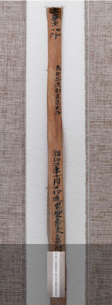 敦煌悬泉“出粟八斗”汉简预览图