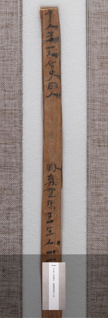 敦煌马圈湾‘干人丞’汉简预览图