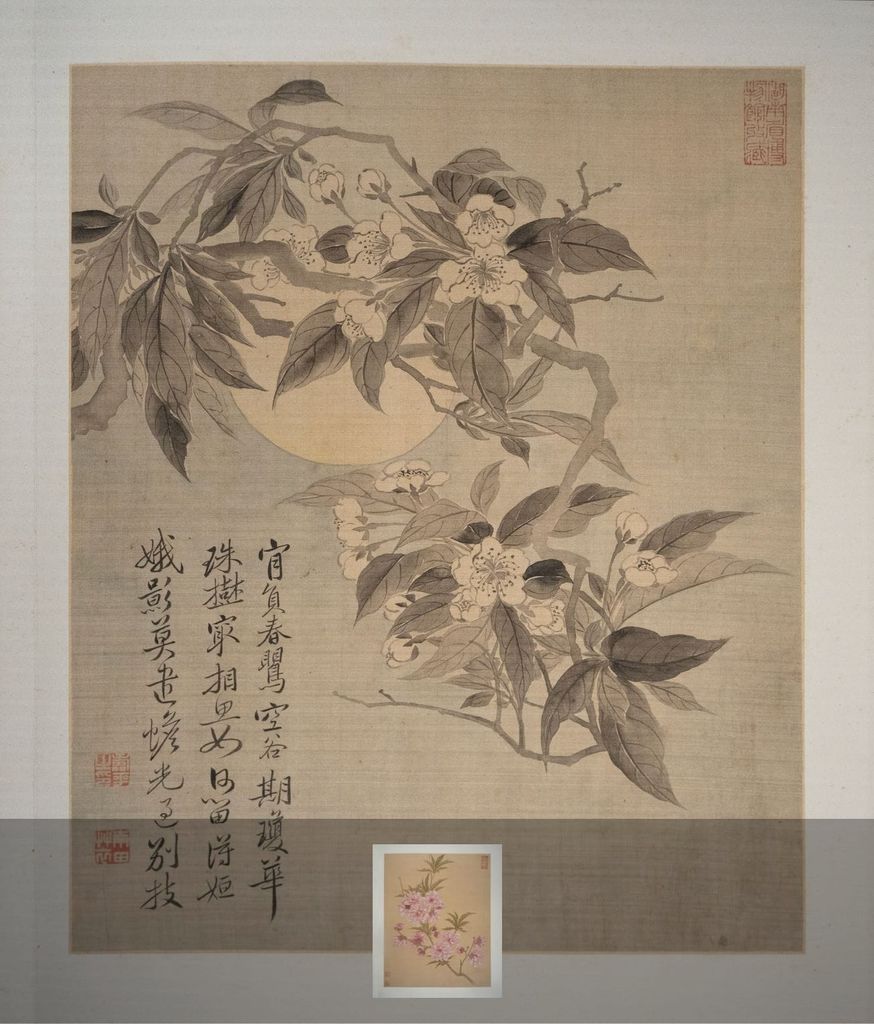 花卉图册预览图