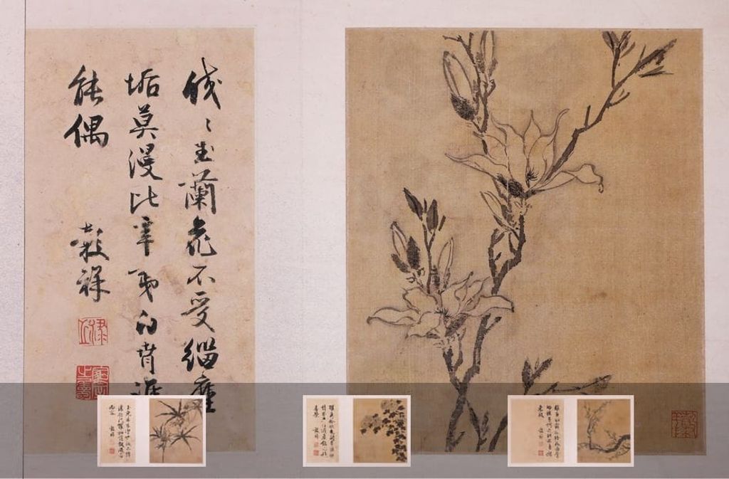 花卉图册预览图