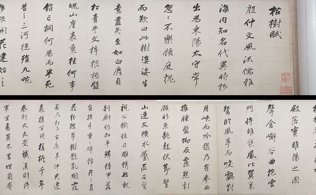 行书临褚河南枯树赋卷缩略图